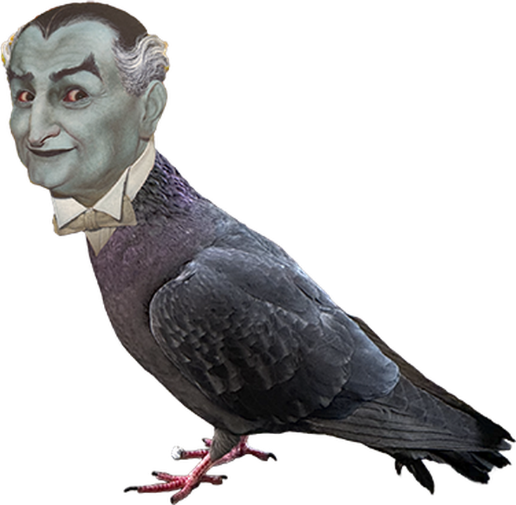 A creature with a vampire's head joined to a pigeon's body.